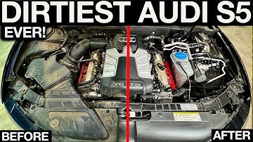 First Wash In 5 Years: Dirtiest Audi S5 Ever Huge Detailing Transformation!