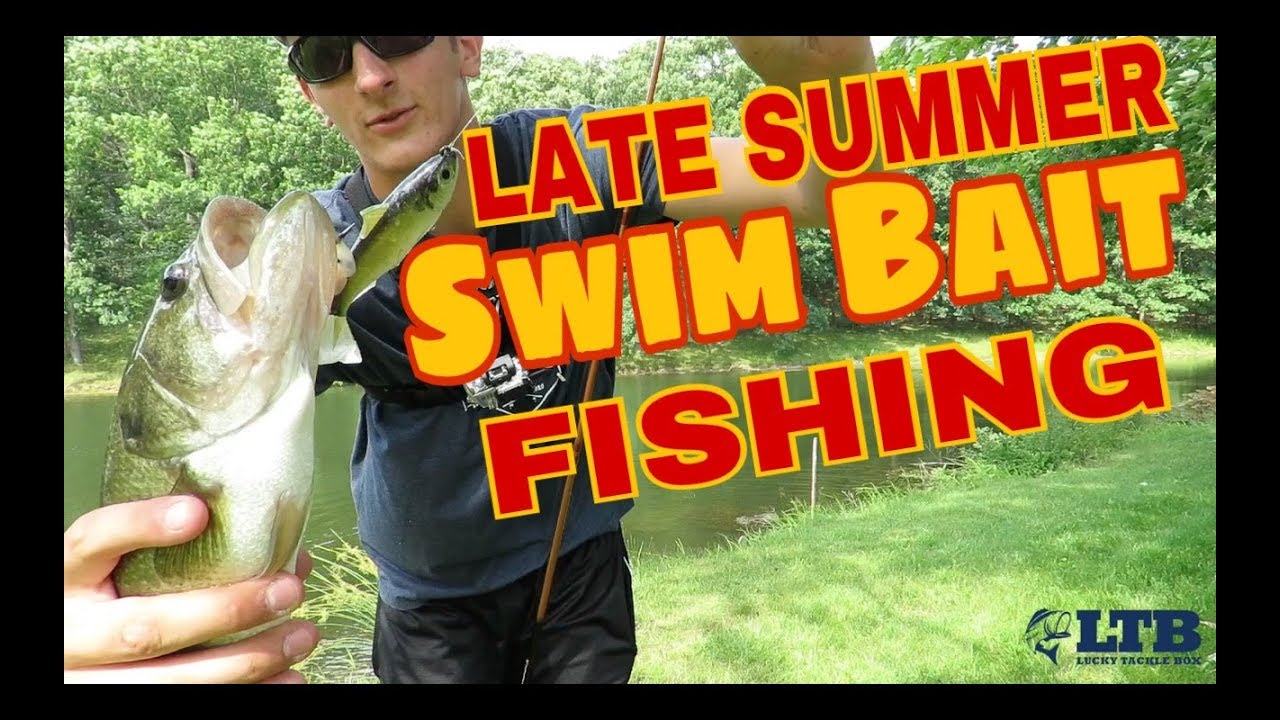 How to Fish a Swimbait in Late Summer
