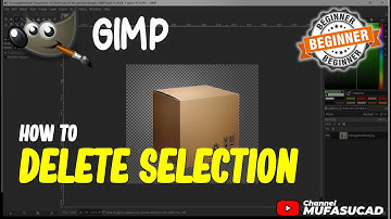 Gimp How To Delete Selection
