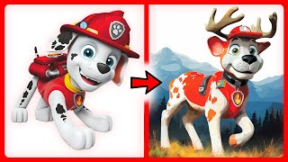 🦴 PAW Patrol best TRANSFORMS 💥 All Characters
