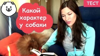 КАКОЙ ХАРАКТЕР У ВАШЕЙ СОБАКИ? |ТЕСТ ДЕЛАЕМ ВМЕСТЕ КАКОЙ ХАРАКТЕР У ВАШЕЙ СОБАКИ? |ТЕСТ ДЕЛАЕМ ВМЕСТЕ