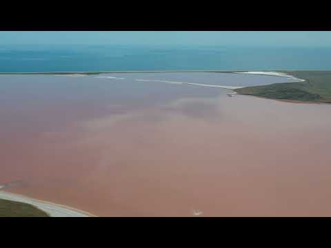 Video: Koyash-innsjø. Koyashskoe s altinnsjø på Krim