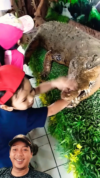 Anak kecil digigit buaya.. #shorts #viral