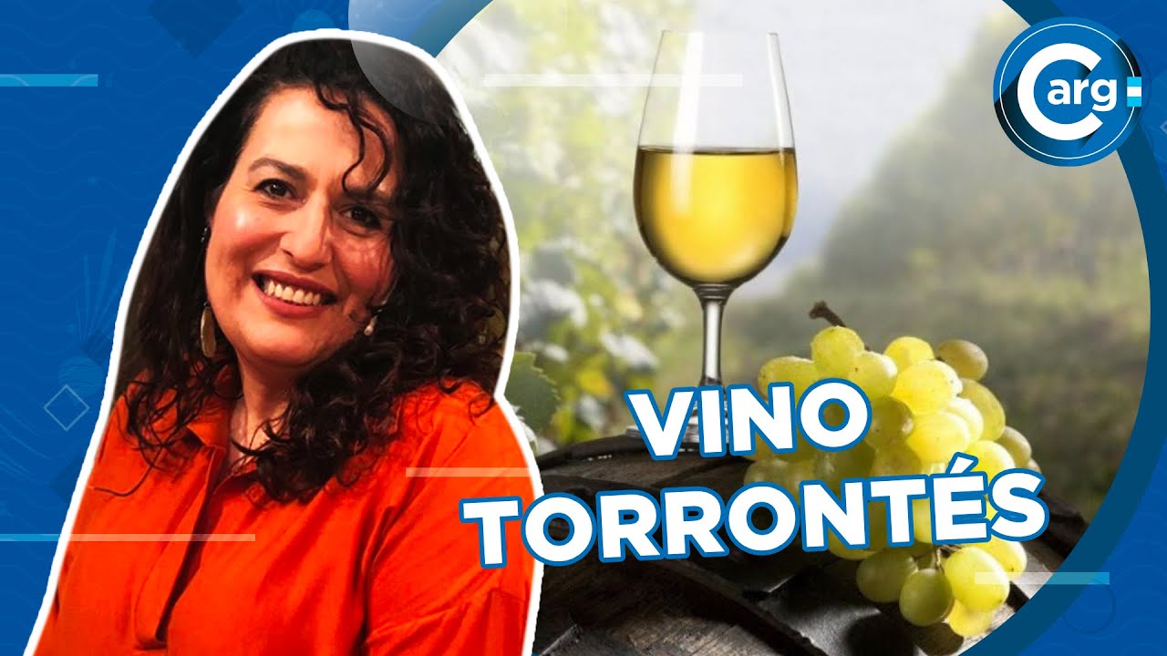 QUÉ ES EL TORRONTÉS YouTube