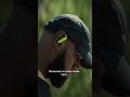 LeBron’s NEW Nike x Beats are finally here! 👟🔥 #beatsbydre #powerbeatspro2 @beatsbydre