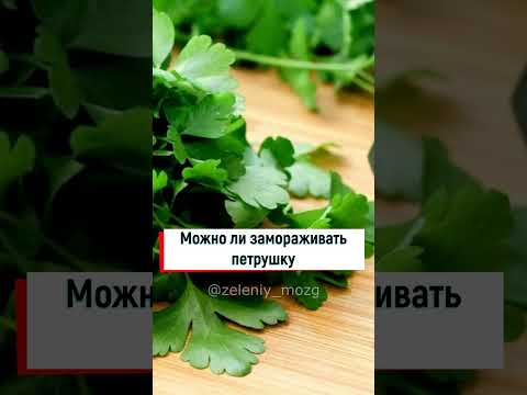 Можно ли замораживать петрушку