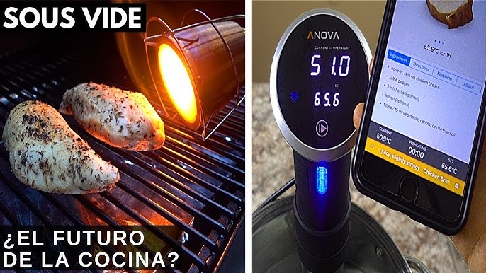 High Tech Bluetooth Cooking! Anova Nano 400 Sous Vide Demo 