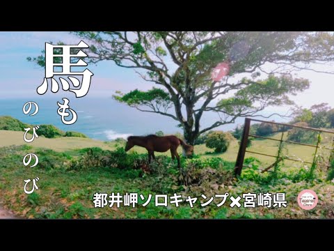 馬が住む岬でソロキャンプ/宮崎県ｷｬﾝﾌﾟ/solo camp/dokicamp/G2000/九州/都井岬南灯台ｷｬﾝﾌﾟ場/ｷｬﾝﾌﾟ場巡り/vlog/©13