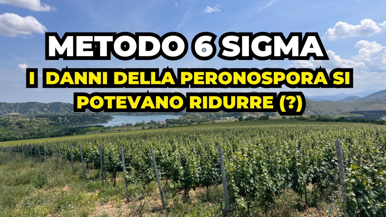 La peronospora e il metodo Lean Six Sigma