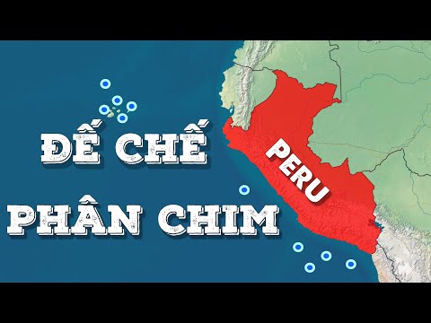 Video: Quy định Hải quan Peru