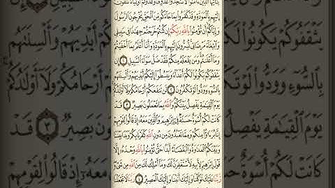 @آيات مباركة من سورة( الممتحنة )اخي الفاضل تفكر بها من الآية الكريمة (١-٥)