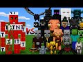 TNT Golem Vs Every Mob In MInecraft MOB BATTLE