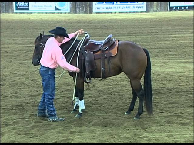 Deb Anderson Horses