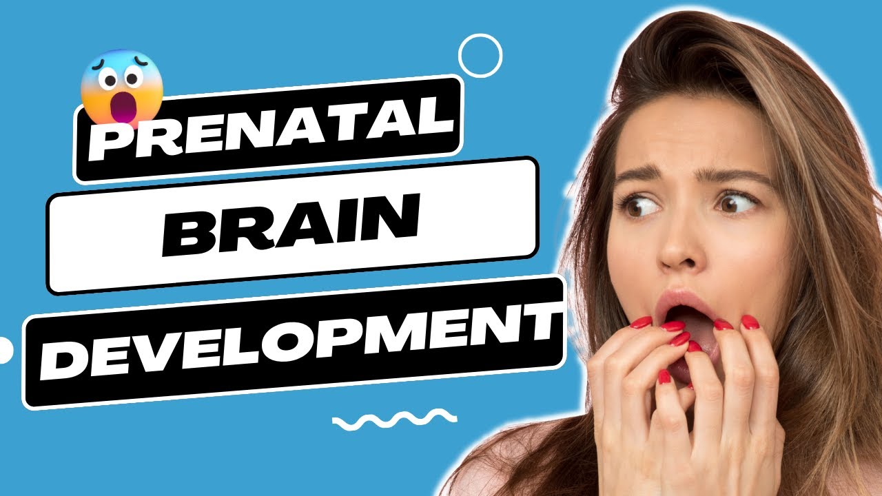 Learn the Secrets of Babies' Brain Development Before Birth  Prenatal Language Wonders