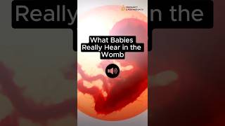 What Babies HEAR In WOMB (Sound ON ) #fetus