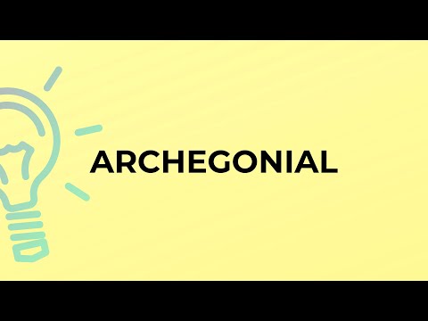 Video: Qual è il significato di archegoniale?