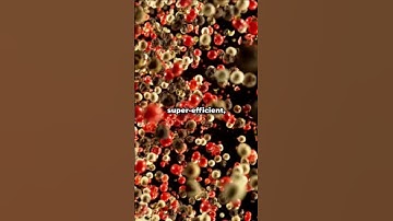 🌞 Atomically Dispersed Co-Catalysts for H₂ ⚡#sciencefather  #Researcher #chemicals