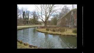 Lille, Tourcoing, samedi 21 mars 2015