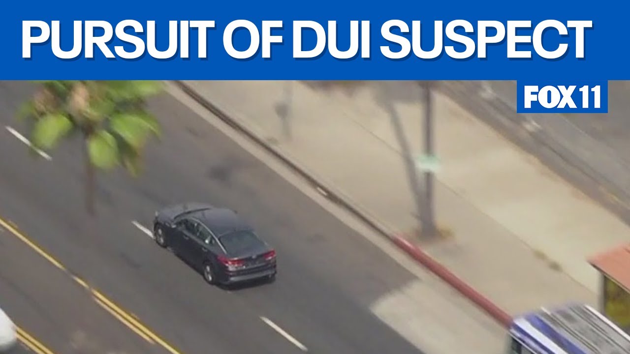Pursuit suspect in East LA goes rouge