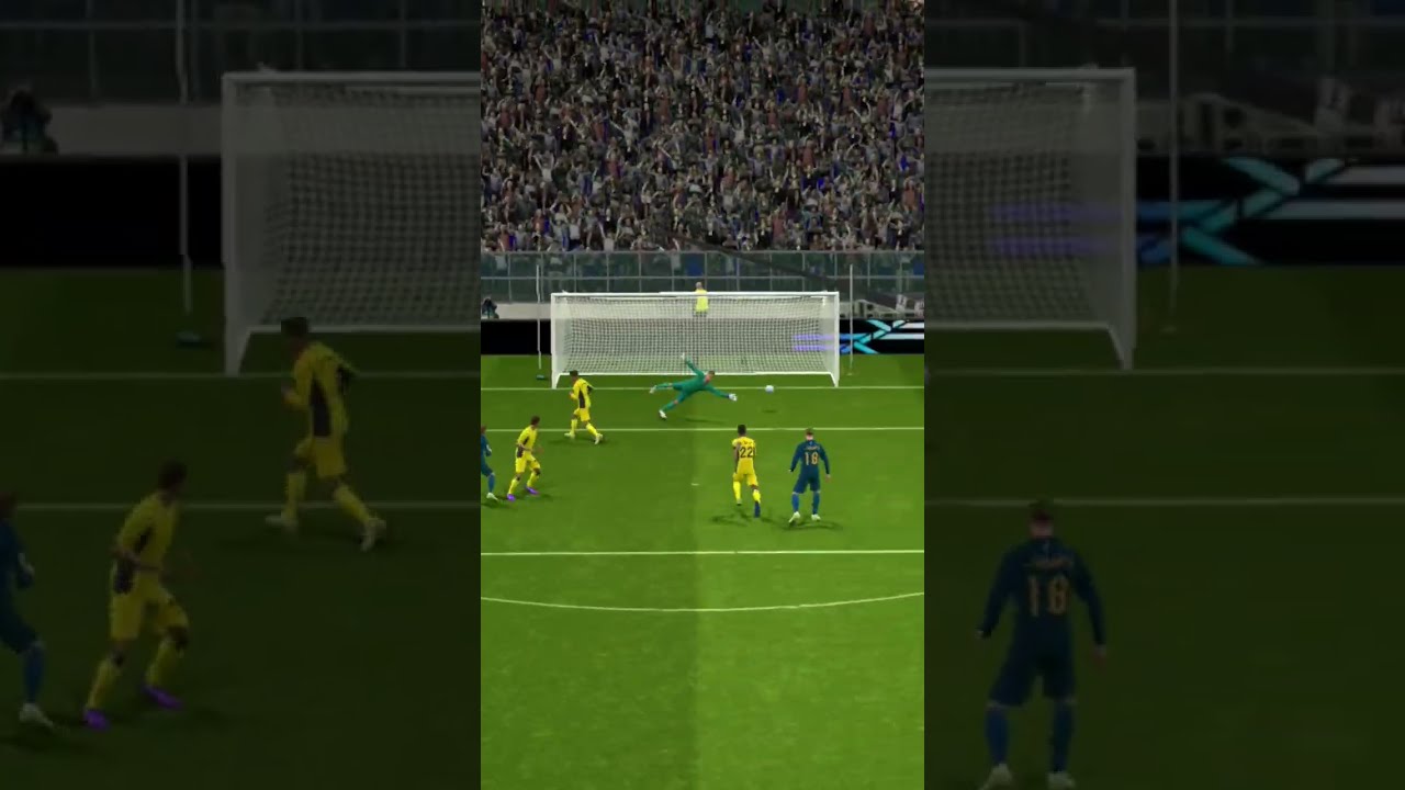 Wtf Did I Just Watched 