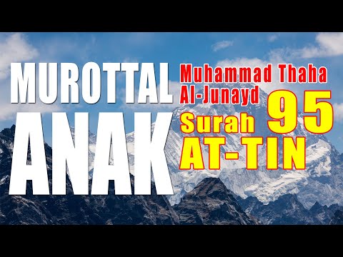 MUROTTAL ANAK!! MUHAMMAD THAHA AL -JUNAYD | Surat [] AT-TIN