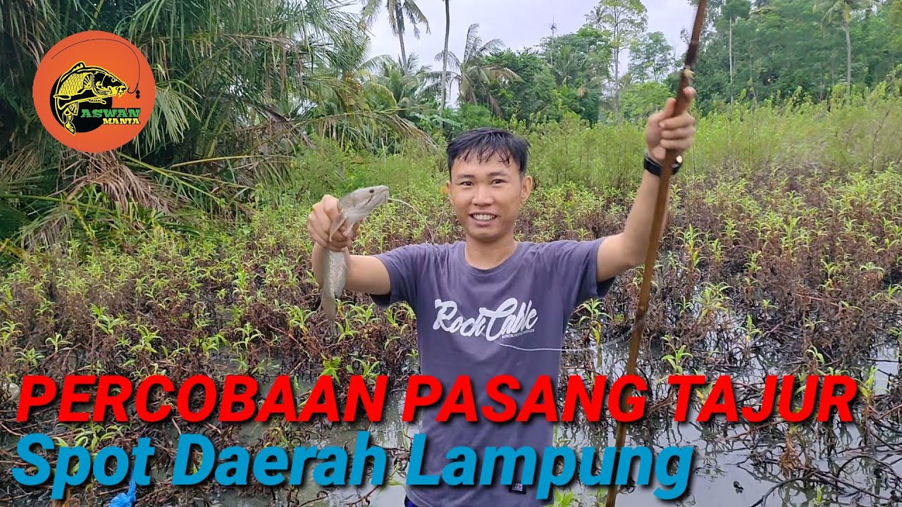 Ikan gabus spot daerah Lampung | Pasang tajur