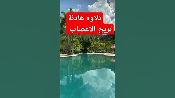 تلاوة هادئه تريح الاعصاب و النفس #quran