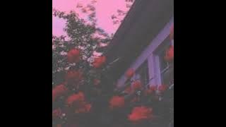 🌟🌻nunca es suficiente🌻🌟 (slowed)