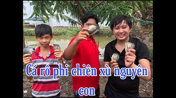 Cá rô phi chiên giòn nguyên con | dính cá đến rách hết cả miếng lưới