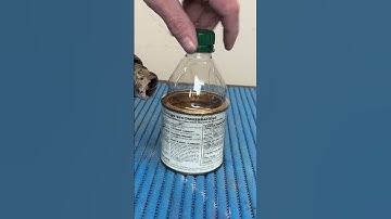 Get Rid of the Lid #shorts