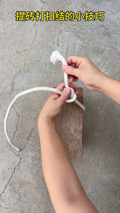 7388917411728149795.mp4