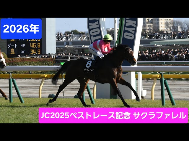 現地映像】2026年ジャパンカップ2025年ロンジンワールドベストレース