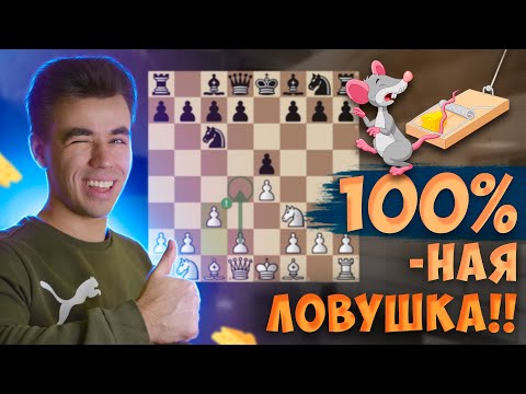 Видео: 5 Ловушек В Одном Дебюте! Лучший Дебют Для Новичков?!