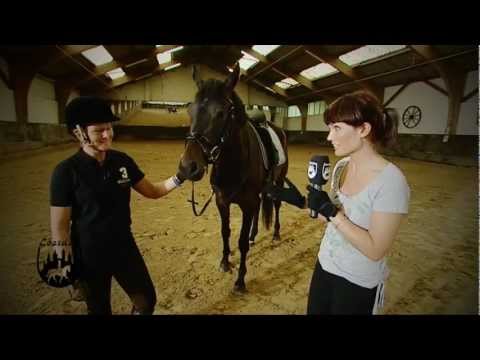 Video: Wie Besteige Ich Ein Pferd