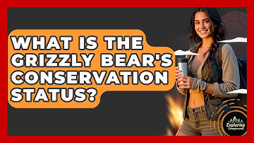 What Is The Grizzly Bear