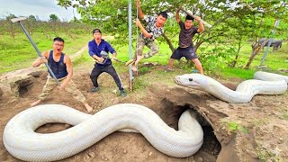 Celebrity Brave Hunters Use Detector To Track Down Giant White Python Net Worth
