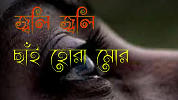 Joli Joli sai Hua mur Buku khoni//Assamese WhatsApp status\\SR 390 ASSAM