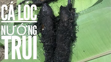 CÁ LÓC NƯỚNG TRUI TRỘN LÁ SẦU ĐÂU - STRAW GRILLED SNAKEHEAD FISH MIXED NEEM LEAVES