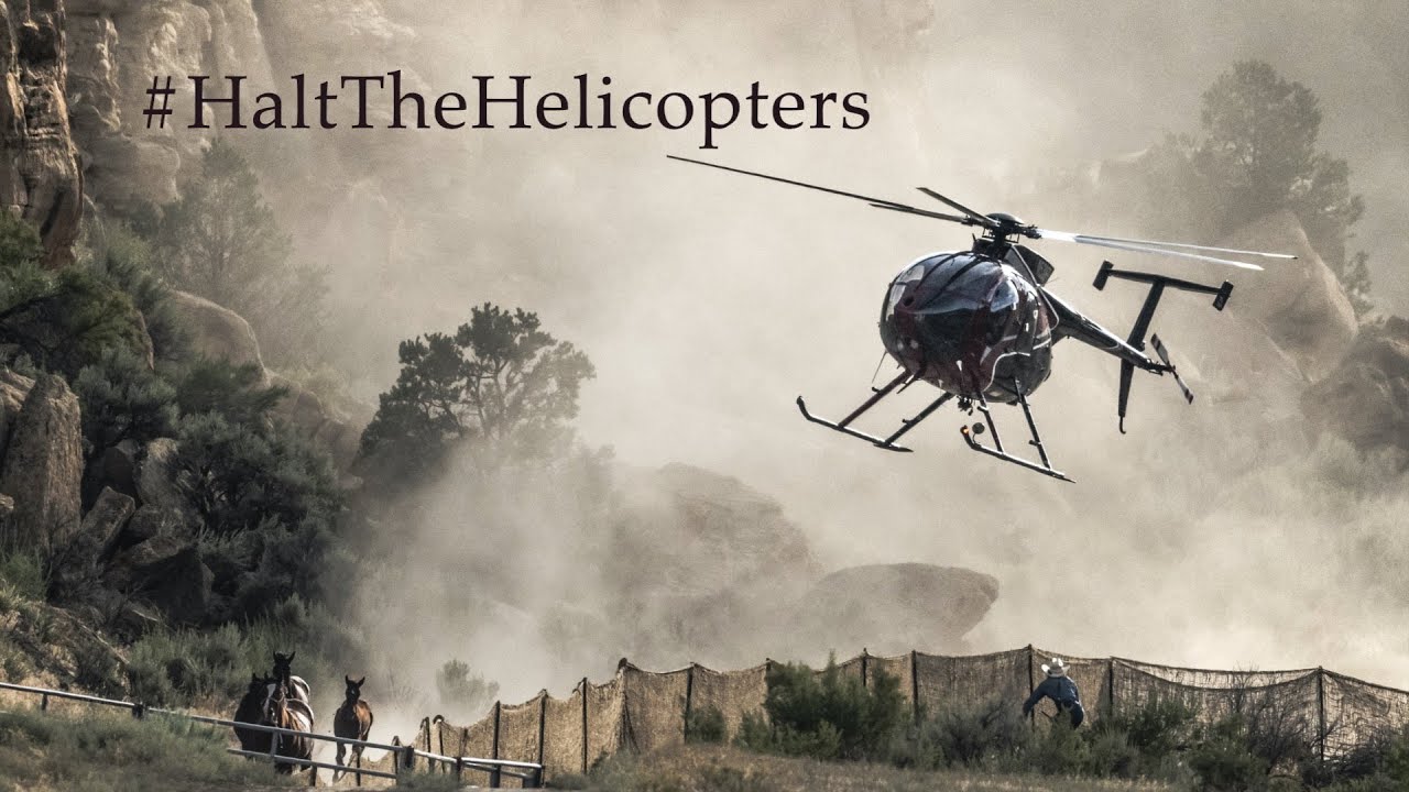 Scott Wilson PhotoAdvocacy Summer 2025 Issue   EquuStyle Magazine