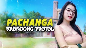 DJ KRONCONG PROTOL X PACHANGA VIRAL TIKTOK • ERTERUWET OFFICIAL