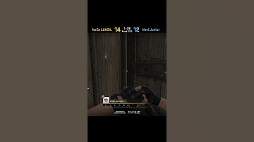 Dust2 Hinge Smoke Door Push Ft. G2, NIP, forZe CS:GO #Shorts