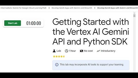 Getting Started with the Vertex AI Gemini API and Python SDK