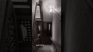 See the ghost in the picture.  Winchester Mystery House Ghost Tour -