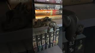 I’m telling you, add a dragon to your fantasy book shelf.