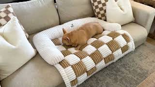 FUNNY FUZZY Pet Couch Covers for Sofa, Couch Covers for Dogs Washable Dog Couch Cover Protector Crea