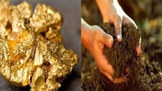 استخلاص الذهب من طمي النيل   هل طمي النيل يحتوي على ذهب ادخل شوف الفيديو