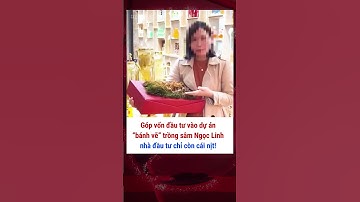 Góp vốn đầu tư vào dự án "bánh vẽ" trồng sâm Ngọc Linh, nhà đầu tư chỉ còn cái nịt! #luadao