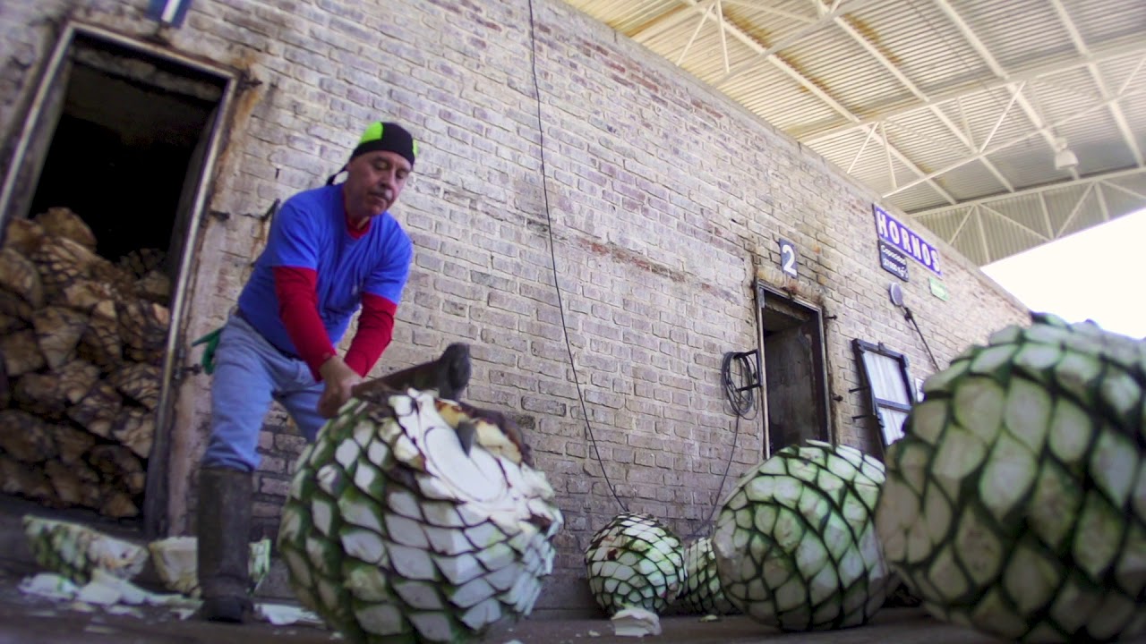 Master Distiller Tequila // Set of 3 video thumbnail