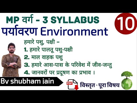 वीडियो: कैंसर के साथ पालतू जानवरों के लिए मंचन का महत्व, भाग 1 - पालतू जानवरों के लिए कैंसर स्टेजिंग क्या है?