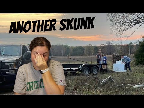 A Skunk In